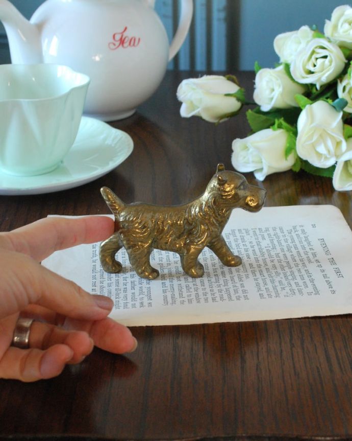 アンティーク 真鍮の雑貨　アンティーク雑貨　英国からのアンティークの真鍮オブジェ、シュナウザー（ブラスドック）。大きさはこれくらいですコレクションしたくなるくらい、いろんなサイズのものがあります。(m-3955-z)