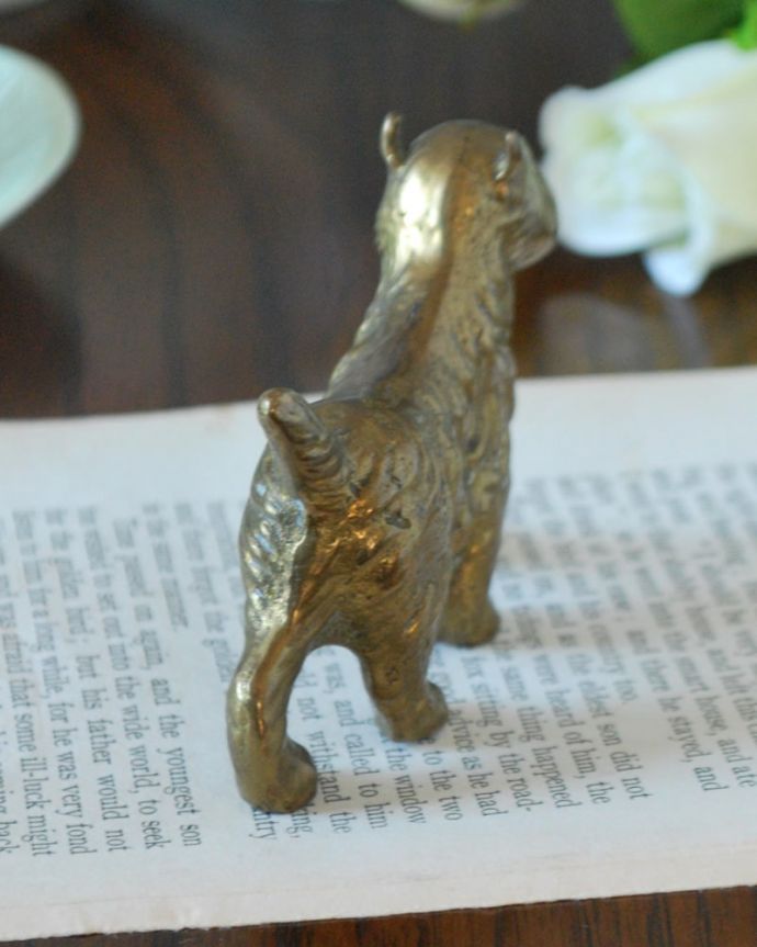 アンティーク 真鍮の雑貨　アンティーク雑貨　英国からのアンティークの真鍮オブジェ、シュナウザー（ブラスドック）。後から見るとこんな感じですアンティークなので多少のキズ・汚れがある場合がありますが、使用上問題はありませんので、ご了承下さい。(m-3955-z)