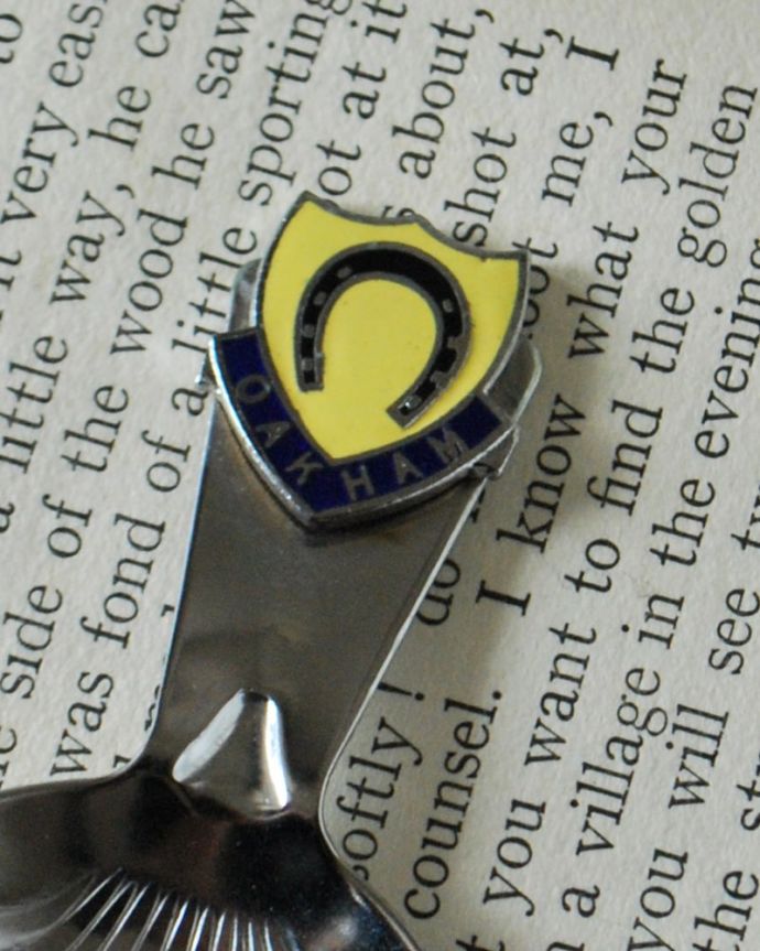 アンティーク シルバー製　アンティーク雑貨　英国のアンティーク雑貨、馬蹄鉄の形をしたキャディスプーン。実際に使えるキャディスプーン色々なモチーフの持ち手のデザインがあります。(m-4057-z)