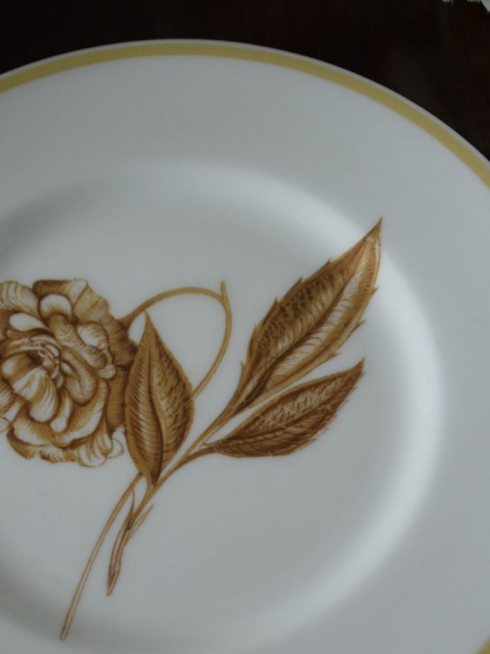 スージークーパーのプレート