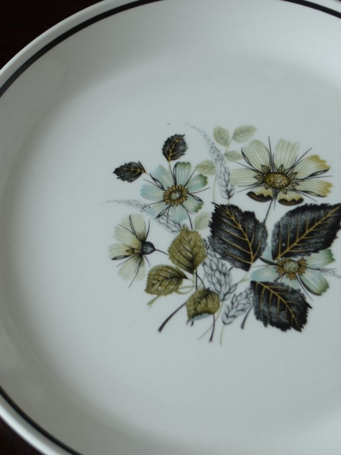 ジョンソンブラザーズのプレート