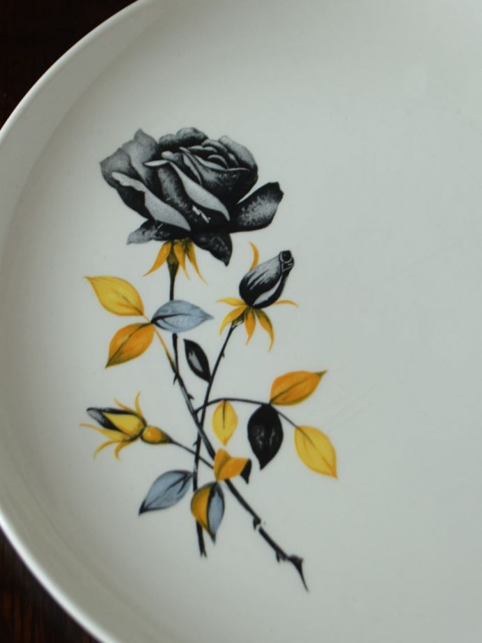 PALISSYのBLACK PRINCE