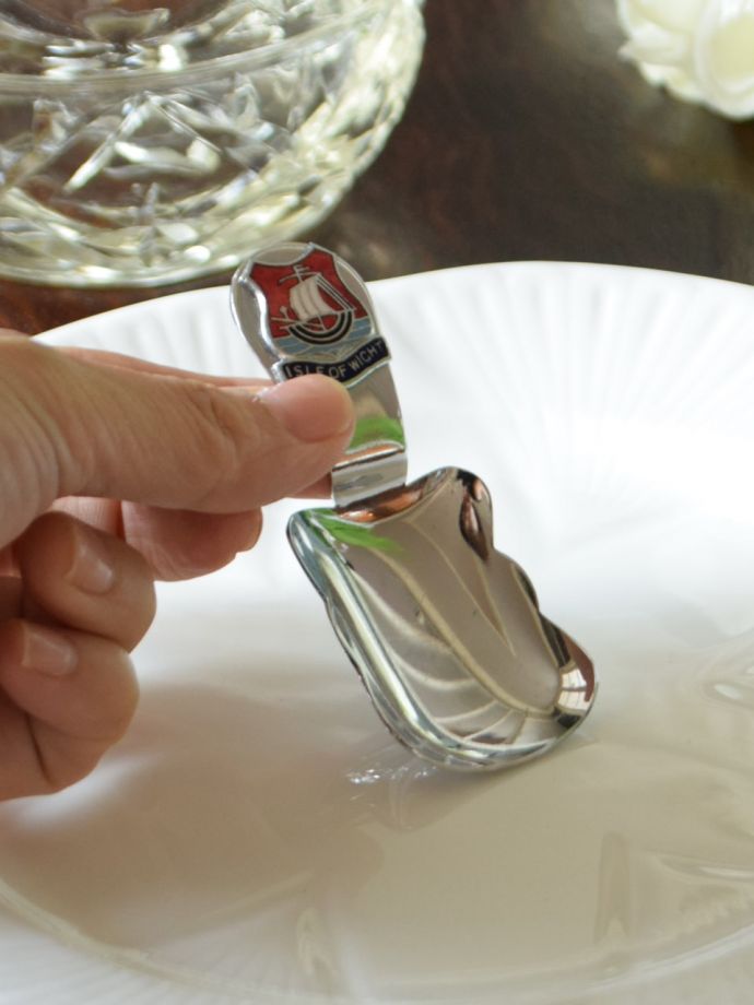 おしゃれなキャディスプーン