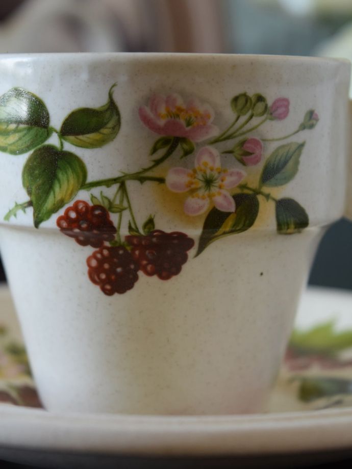 ロイヤルチューダーのカップ＆ソーサー