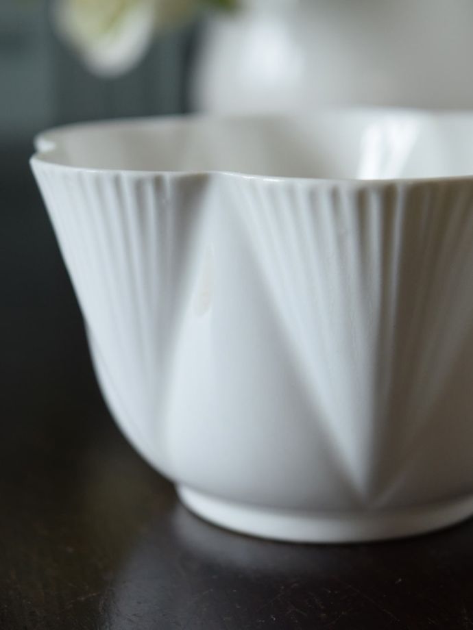 シェリーの「DaintyWhite 」