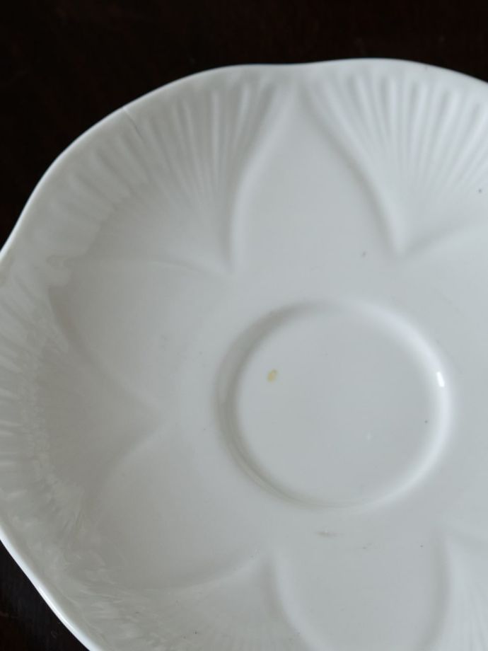 シェリーの「DaintyWhite 」