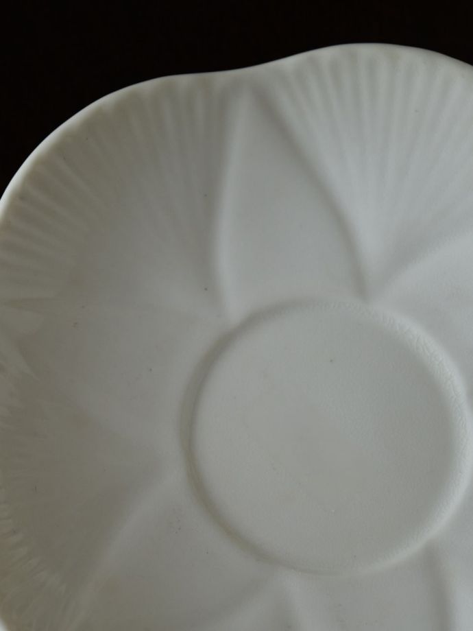 シェリーの「DaintyWhite 」