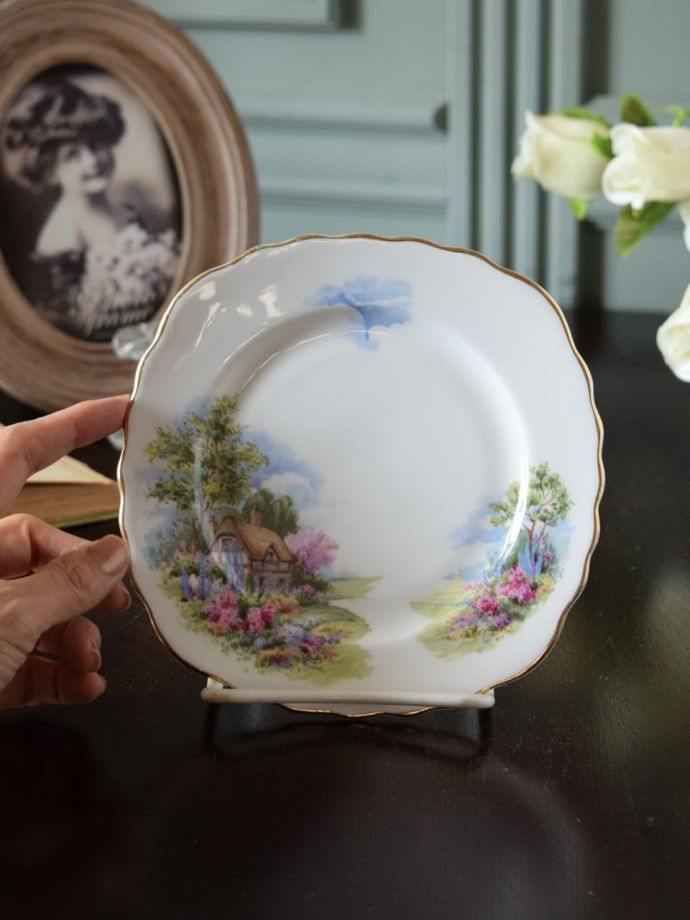 イギリスのプレート