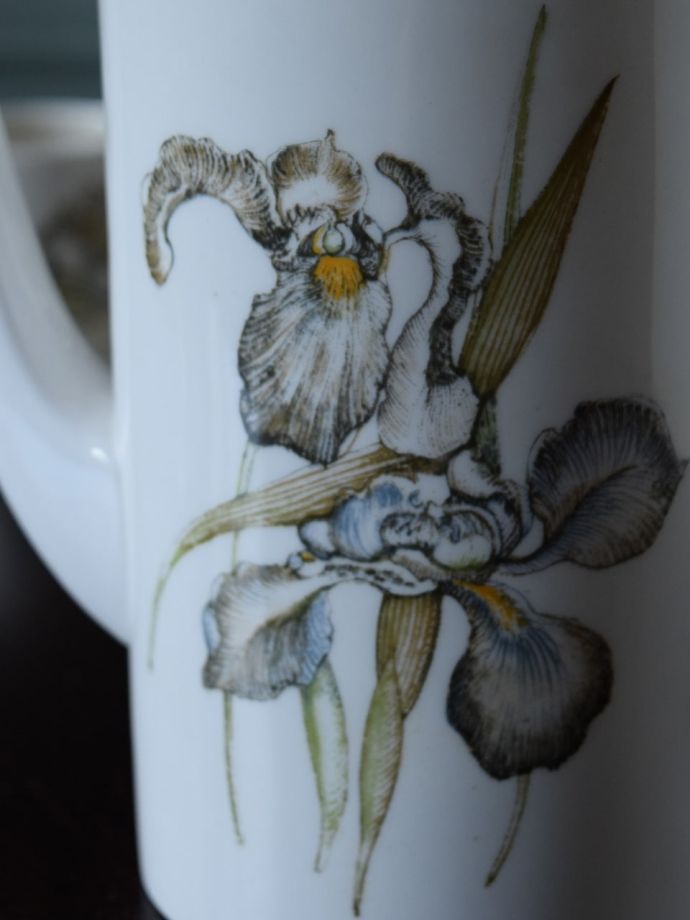 スージークーパーの「アイリス」