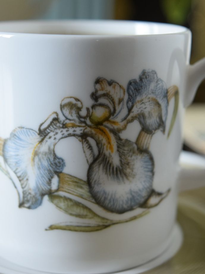 スージークーパーの「アイリス」