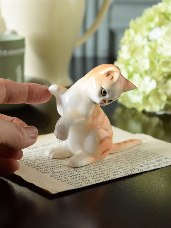 大きさはこれくらいです