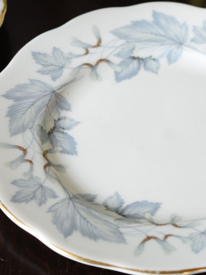 ロイヤルアルバートのSilver Maple