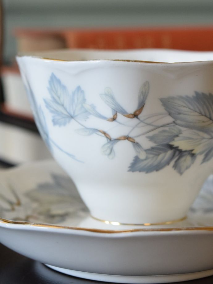 ロイヤルアルバートのSilver Maple