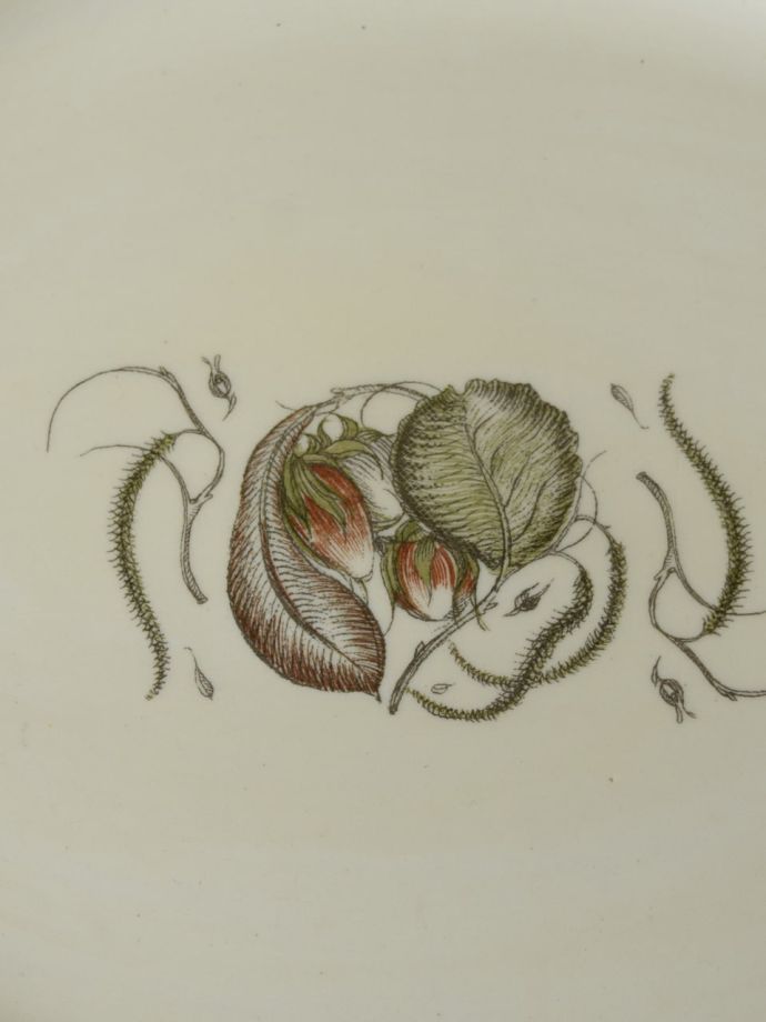 スージークーパーの「ヘーゼルウッド」