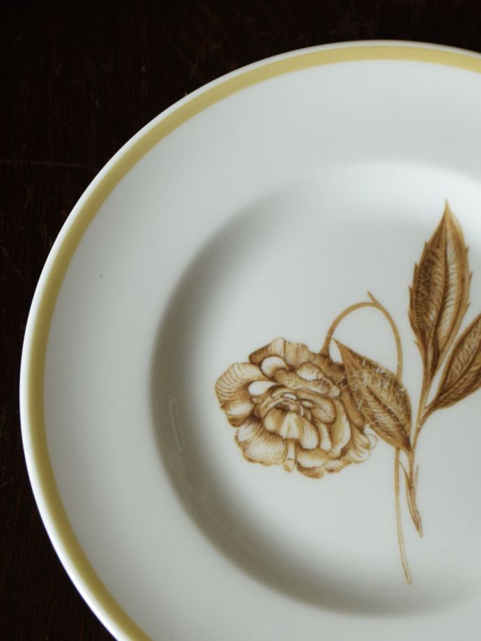 スージークーパーのアンティーク陶磁器