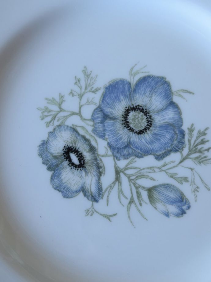 スージークーパーのアンティーク陶磁器