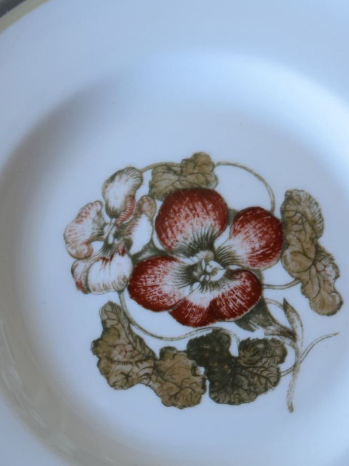 スージークーパーのアンティーク陶磁器