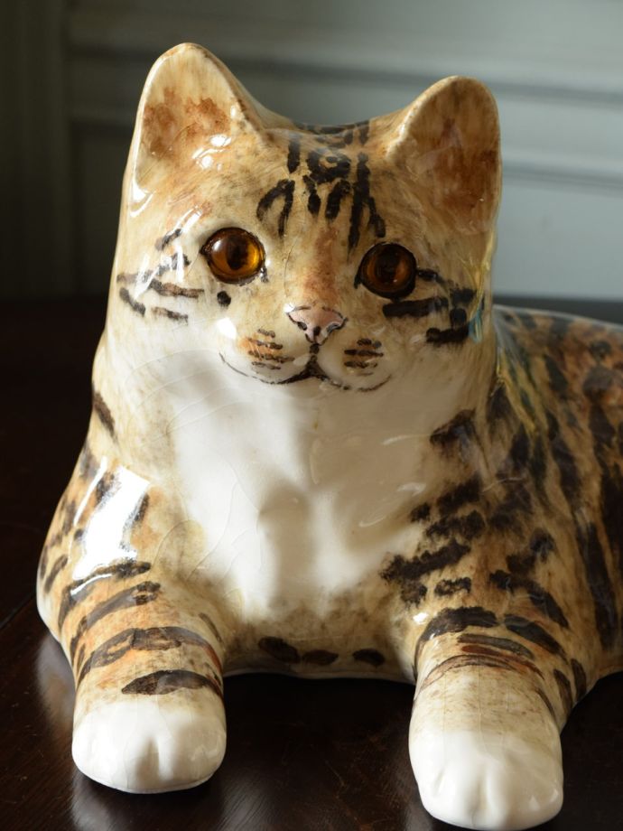 ウィンスタンレイキャット