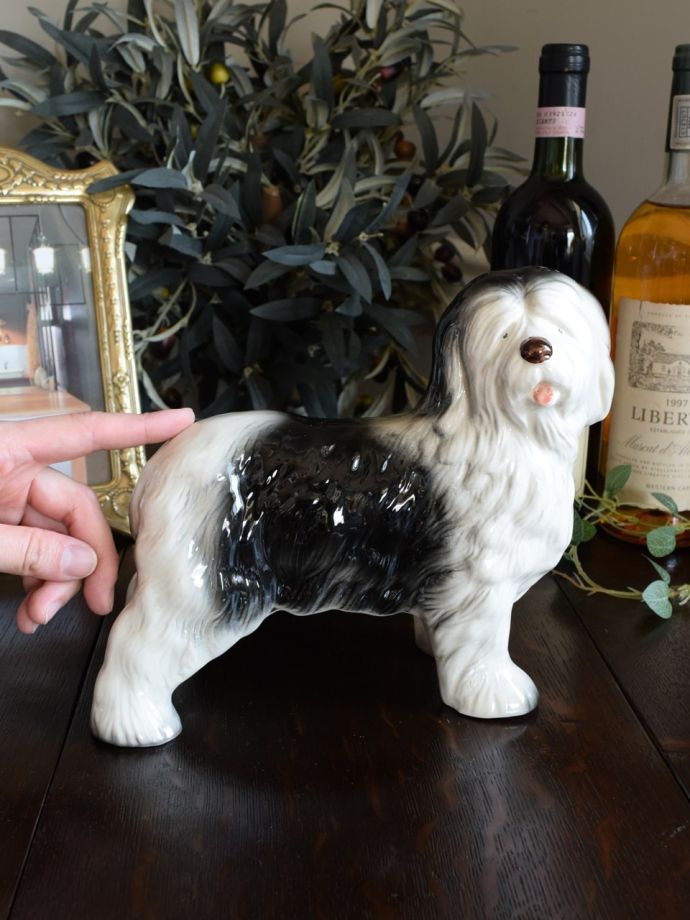 大きさはこれくらいです