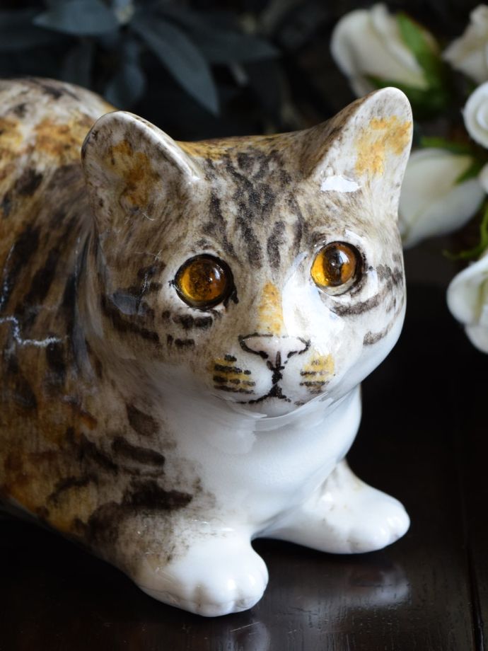 ウィンスタンレイキャット