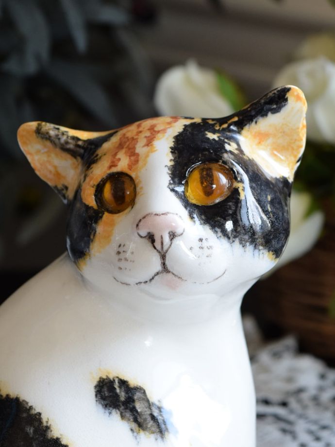 ウィンスタンレイキャット