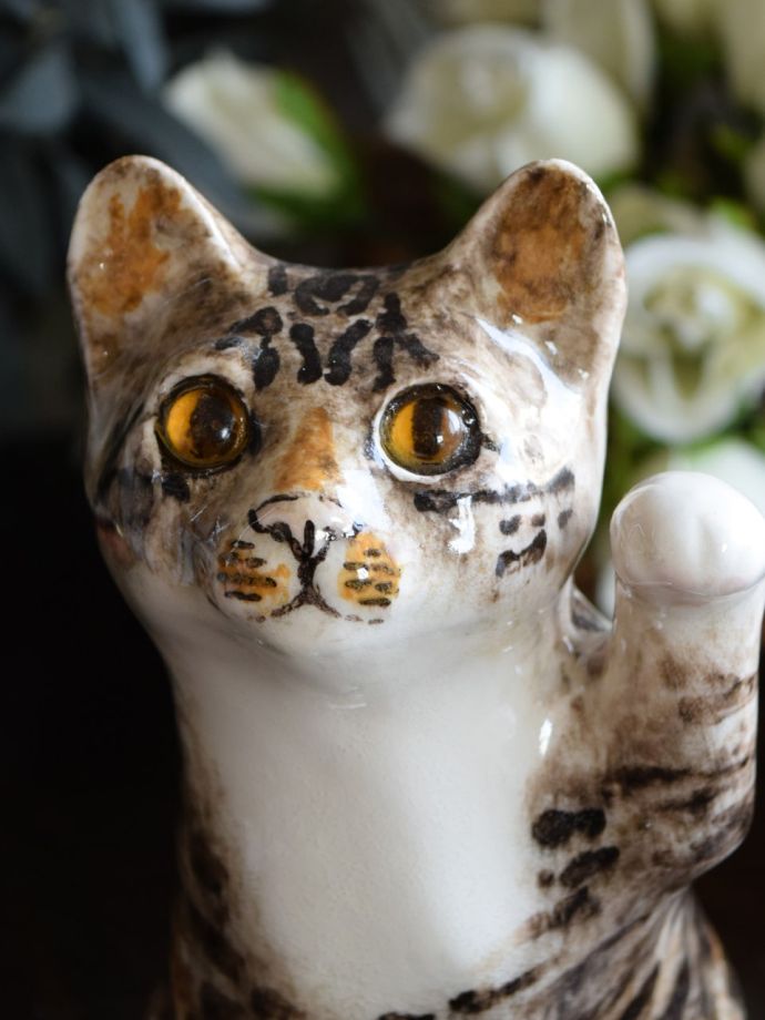 ウィンスタンレイキャット