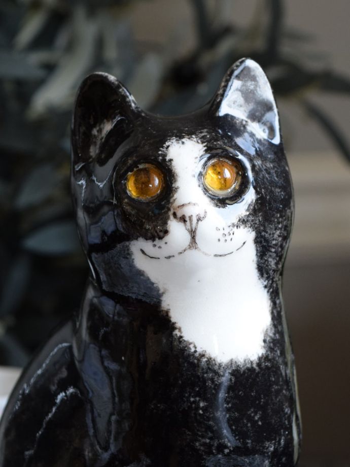 ウィンスタンレイキャット