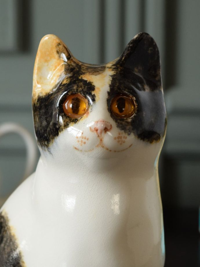 ウィンスタンレイキャット