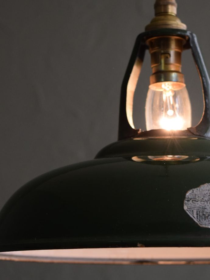 キレイなものを選んできました