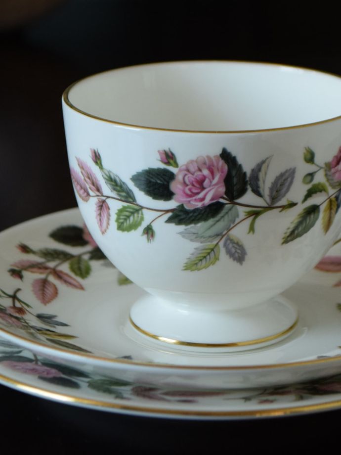 ウェッジウッドのハサウェイ・ローズ