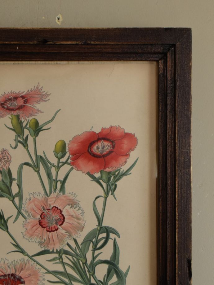 イギリスで見つけたアンティークフレーム、ボタニカルアート（CHINESE