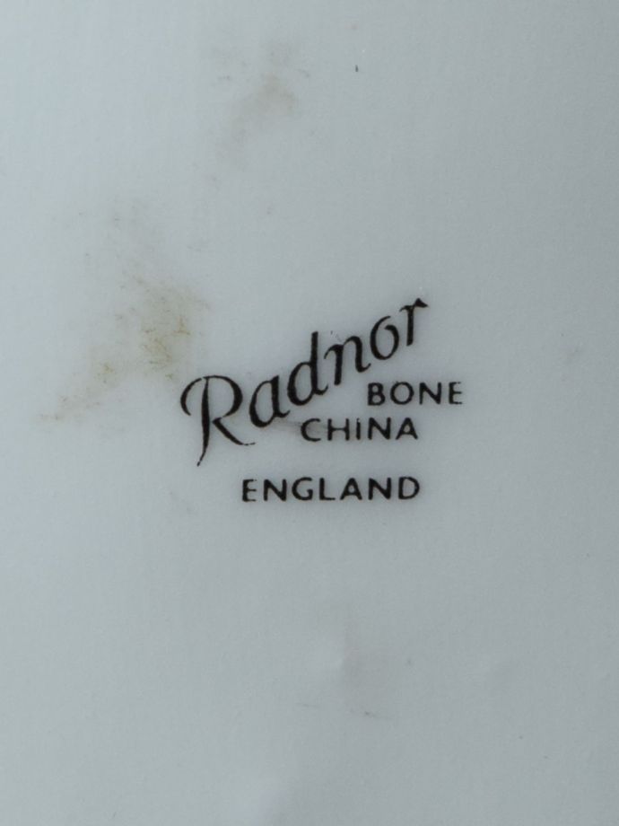 英国のアンティーク陶花、ラドナー（Radnor）窯の美しいフラワー