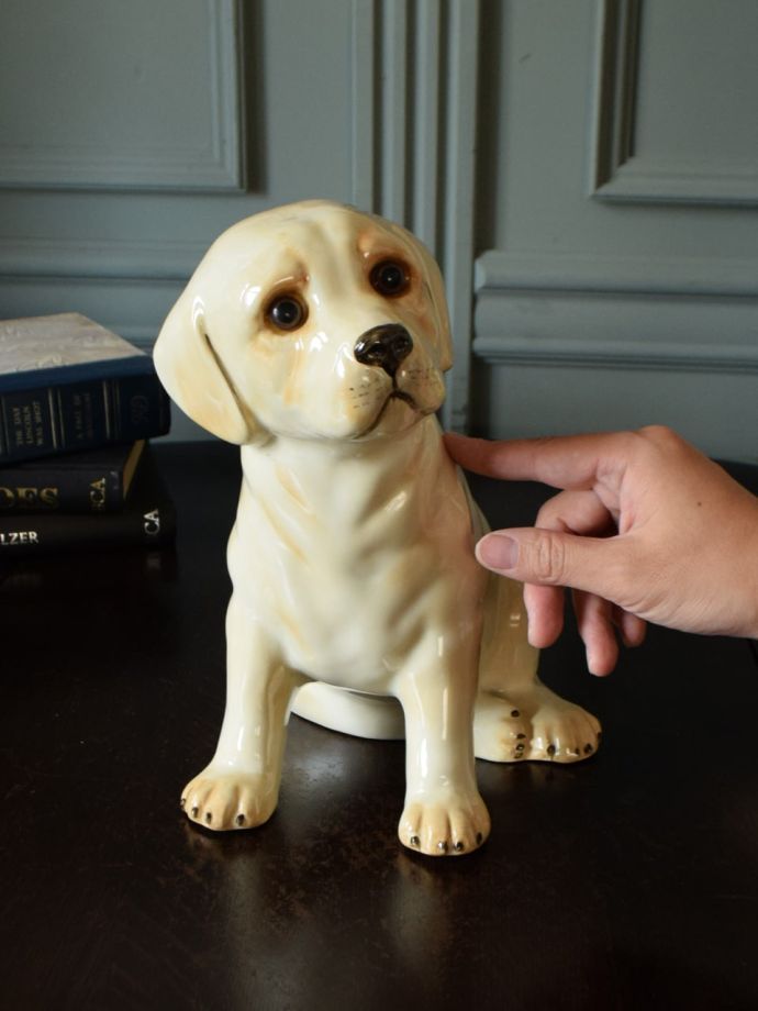 大きさはこれくらいです