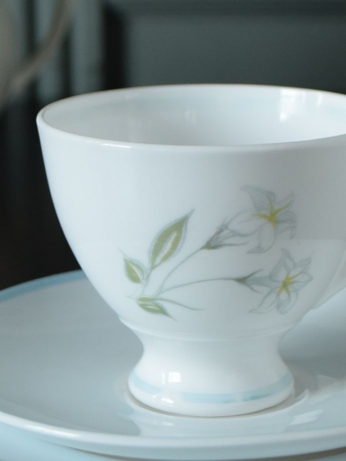 スージークーパーのアンティーク陶磁器