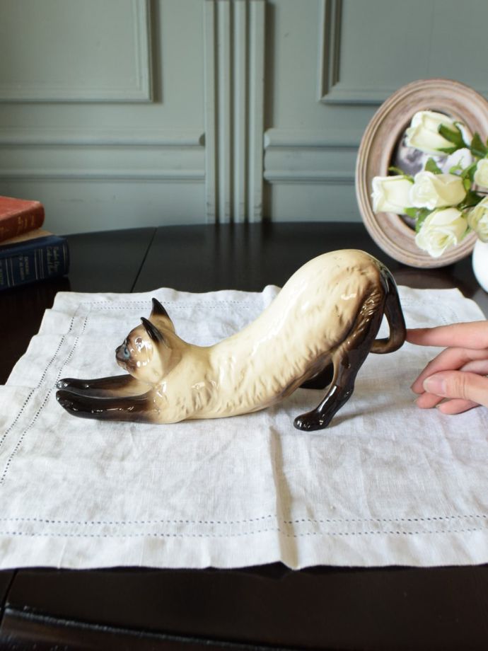 大きさはこれくらいです