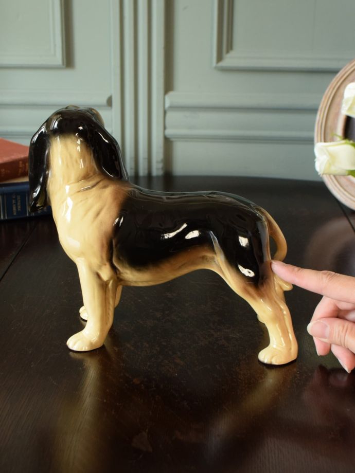 大きさはこれくらいです