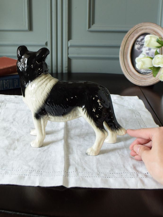 大きさはこれくらいです