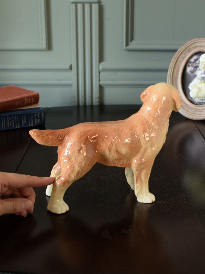 大きさはこれくらいです