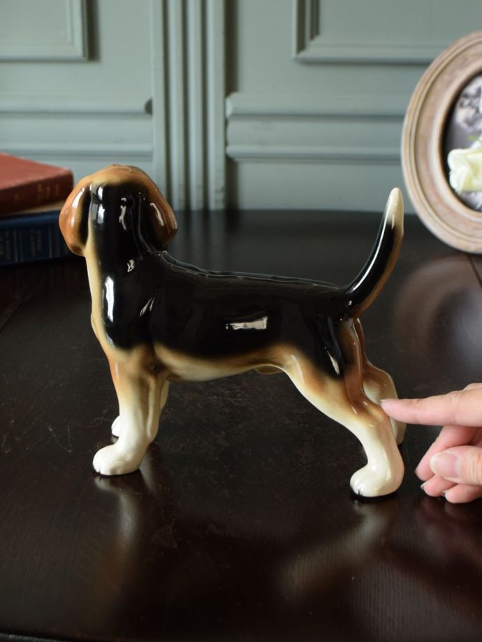 大きさはこれくらいです