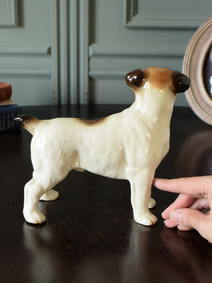 大きさはこれくらいです