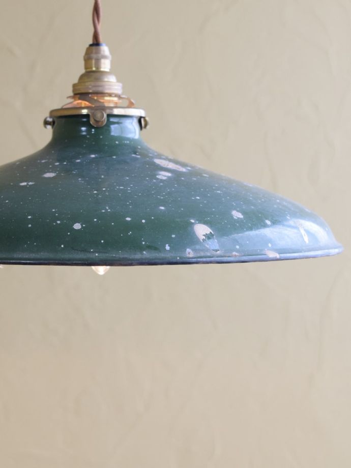 キレイなものを選んできました