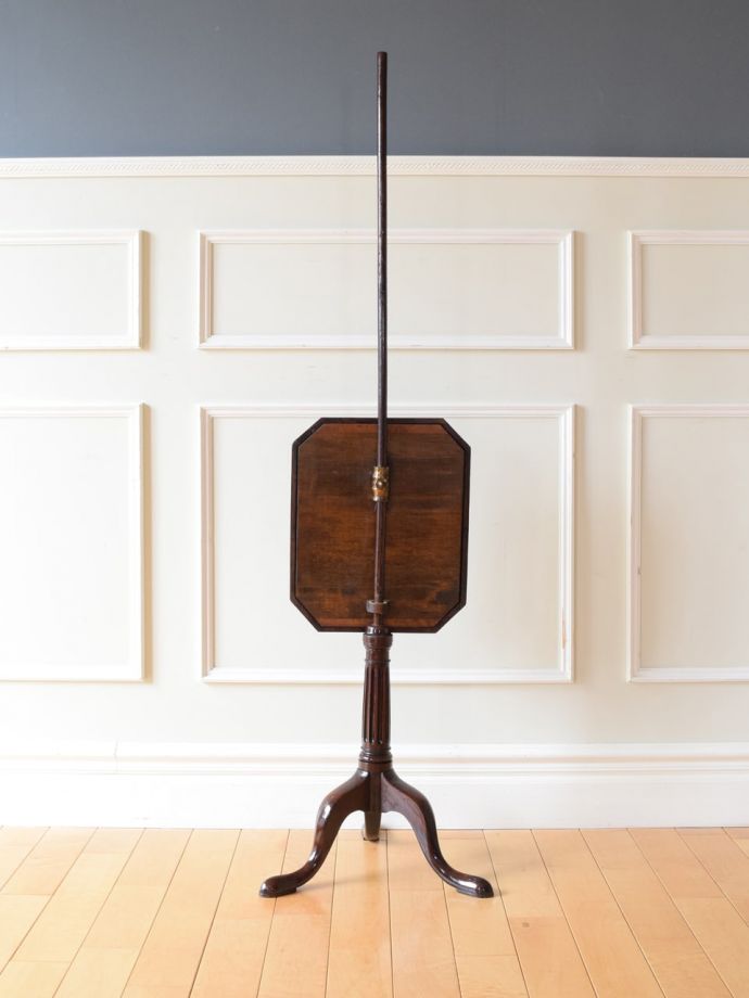 スクリーンの後ろ姿