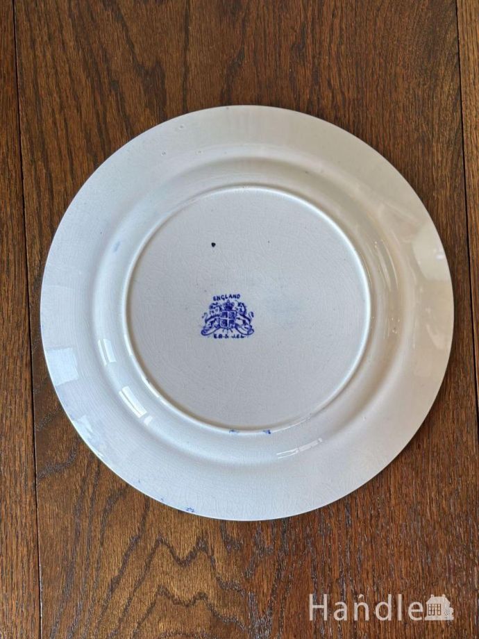 プレートの後ろ