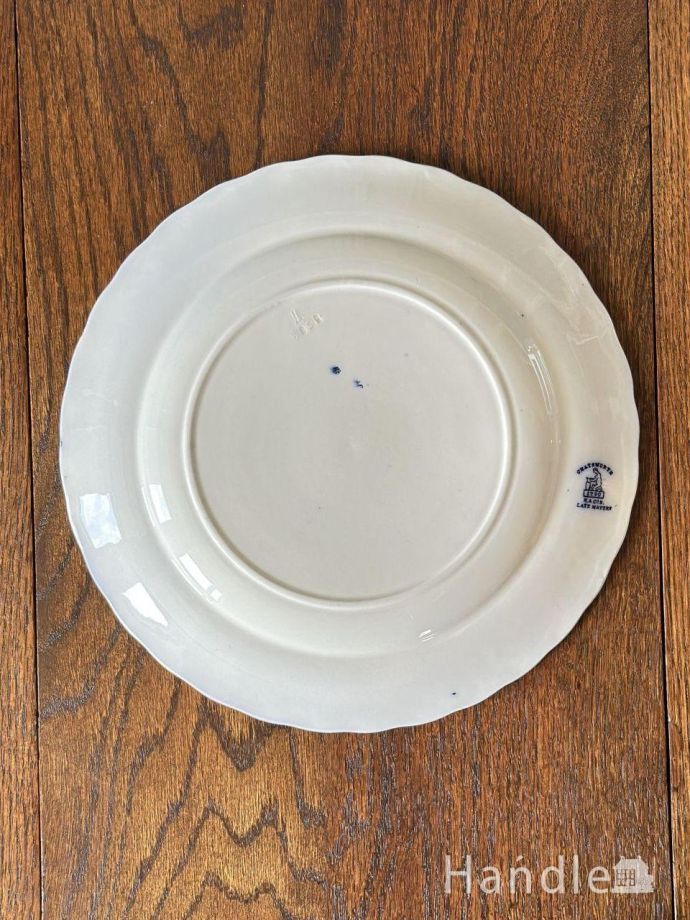 プレートの後ろ