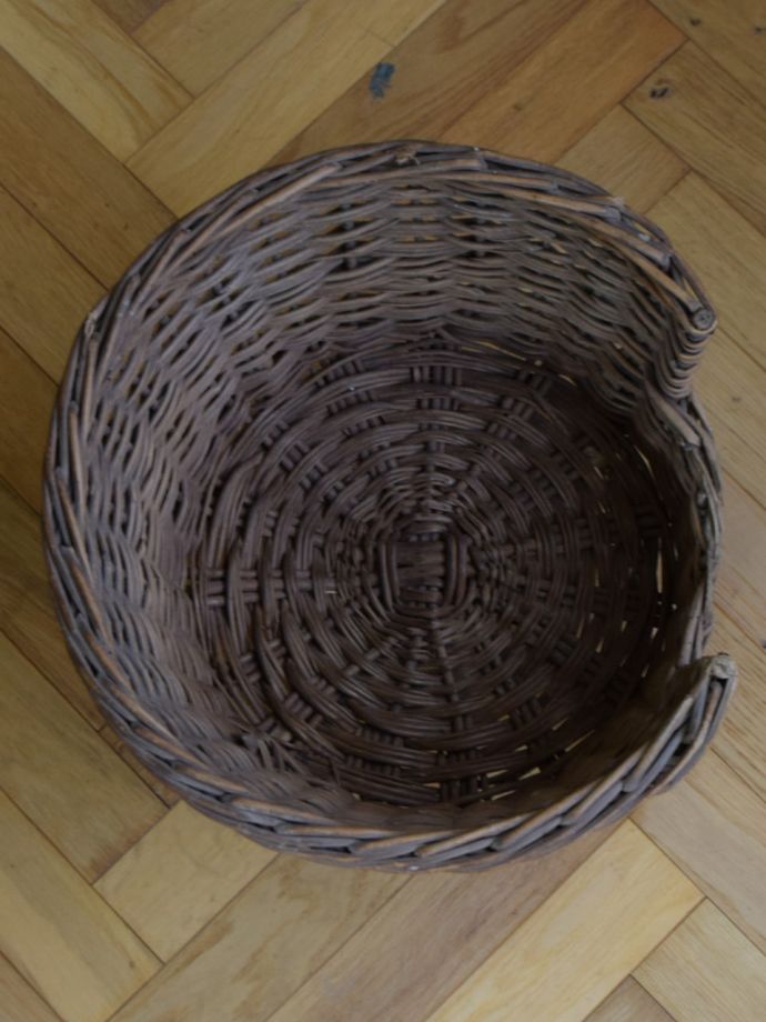 バスケットの中