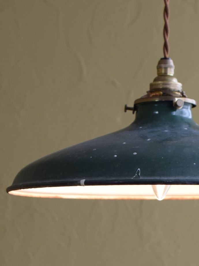 キレイなものを選んできました