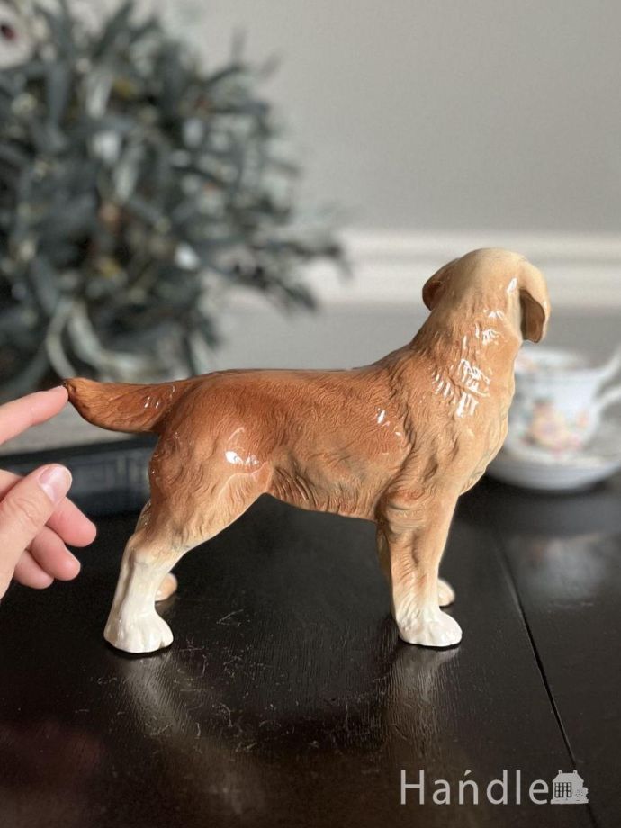 大きさはこれくらいです