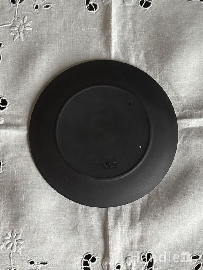 プレートの後ろ