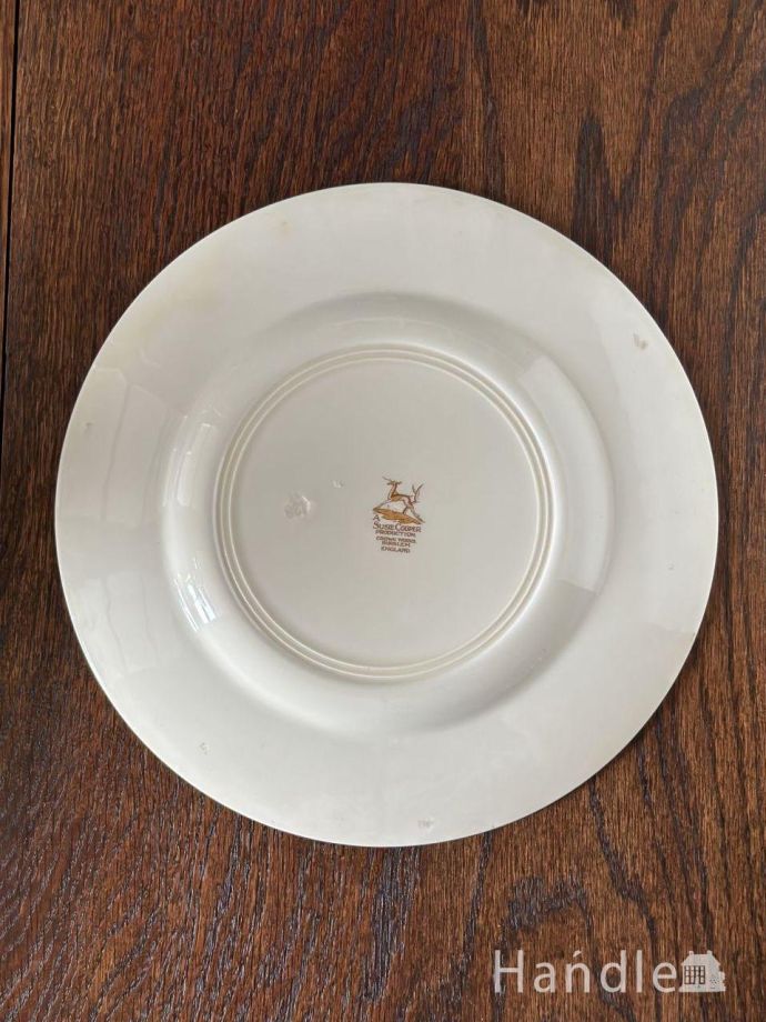 プレートの後ろ