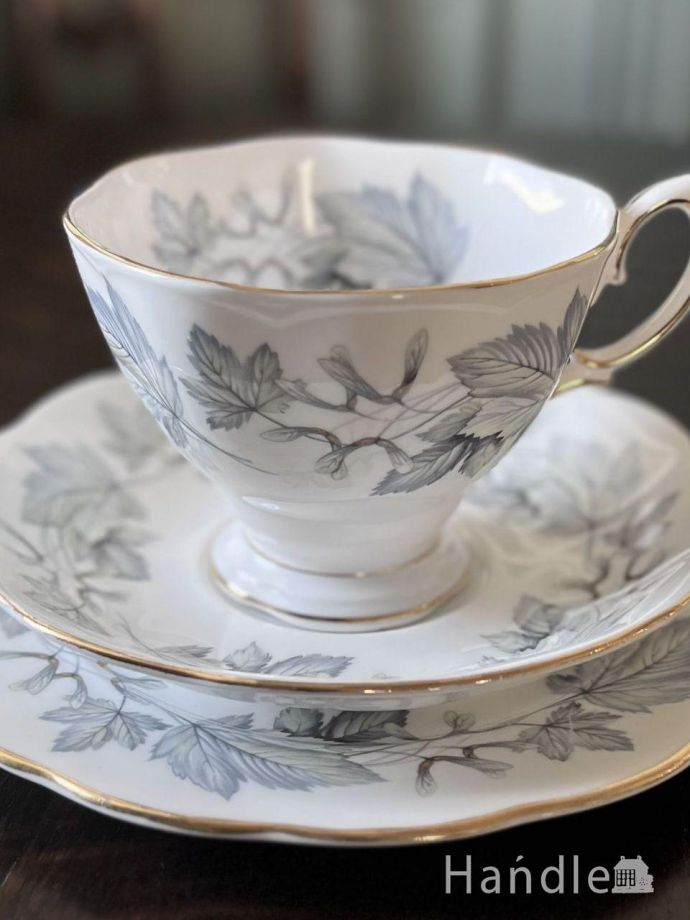 ロイヤルアルバートのSilver Maple